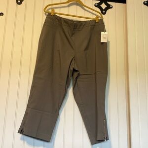 Brand new Dalia super cool cropped pant with ankle zipper detail. 18W Olive